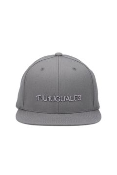 SNAPBACK CAP FLEX / 113Gロゴ スナップバックキャップ (グレー)