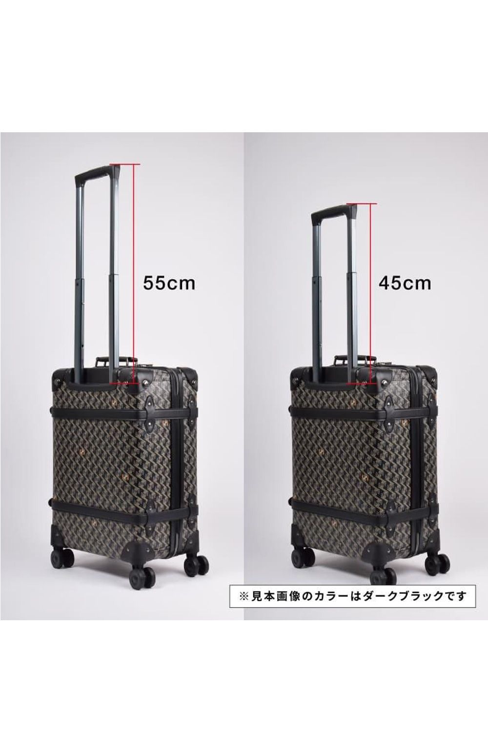 【銀行振込・代金引換不可】【返品・交換不可】 GALAPAGO No.2 (ガラパゴ) / ブランドオリジナルテキスタイル キャリーバッグ （ダークブラック）*