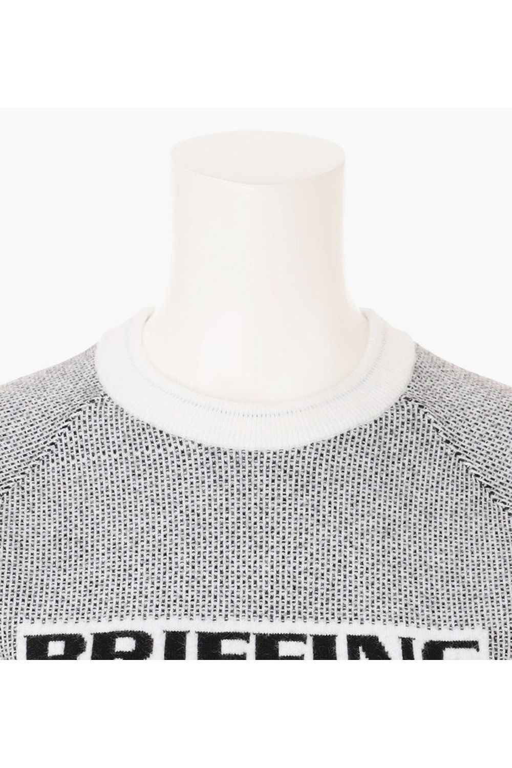 【25AW】【レディース】 WS BIRDS EYE LOGO CREWNECK KNIT / フロントロゴ バーズアイパターン クルーネックニット (ホワイト)