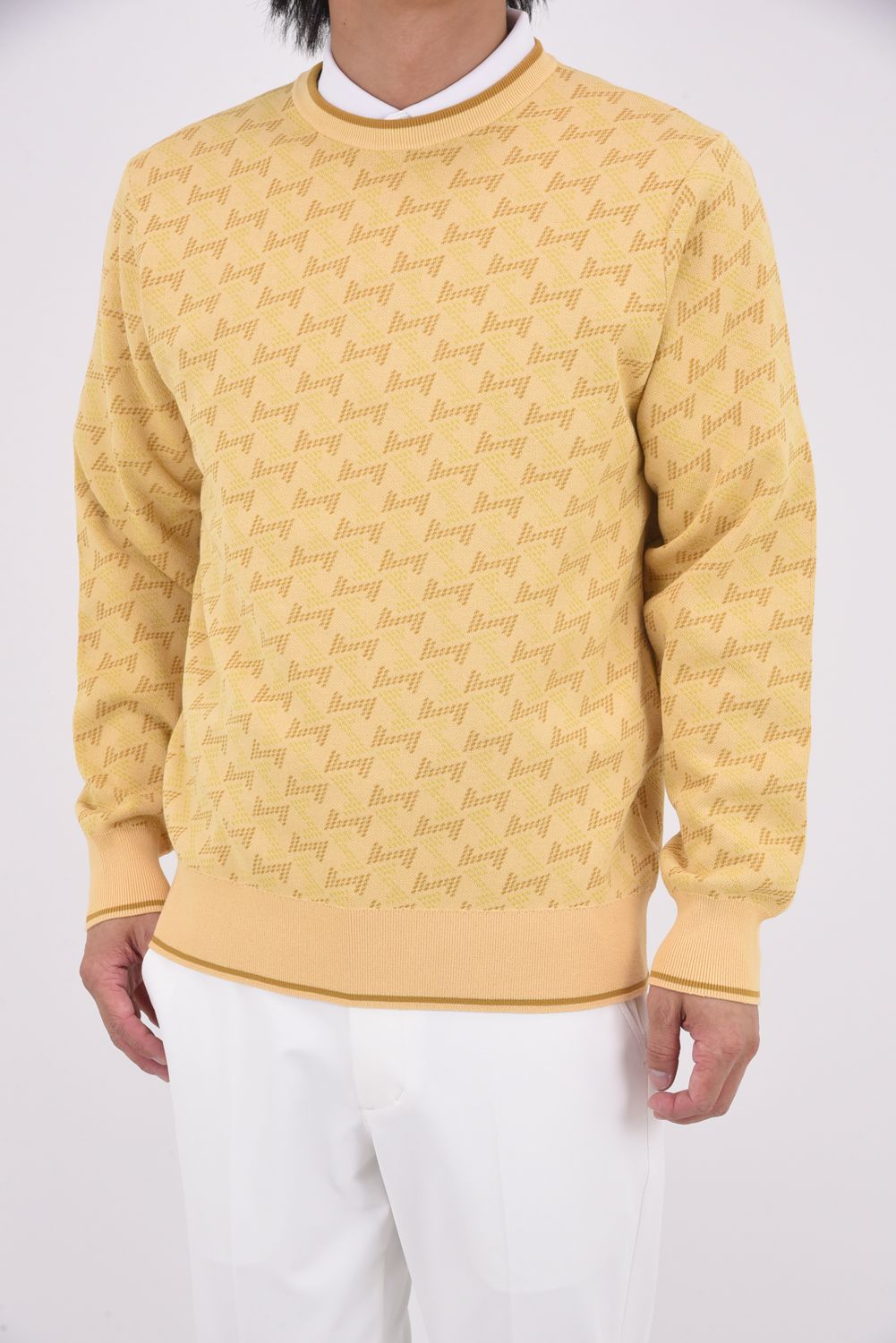 【25AW】 GM JACQUARD LIGHT KNIT / GMジャカード クルーネック ライトニット (ベージュ)*