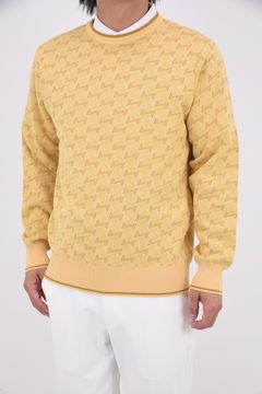 【25AW】 GM JACQUARD LIGHT KNIT / GMジャカード クルーネック ライトニット (ベージュ)*