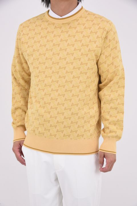 【25AW】 GM JACQUARD LIGHT KNIT / GMジャカード クルーネック ライトニット (ベージュ)*