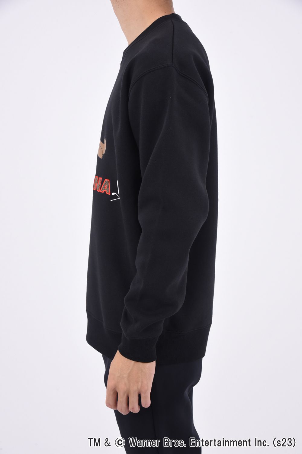 MARK&LONA - WILE E APPLIQUE CREW SWEAT / LOONEY TUNES