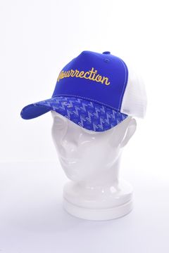GM BRIM MESH CAP / GMロゴ ブリムメッシュ キャップ (ブルー)