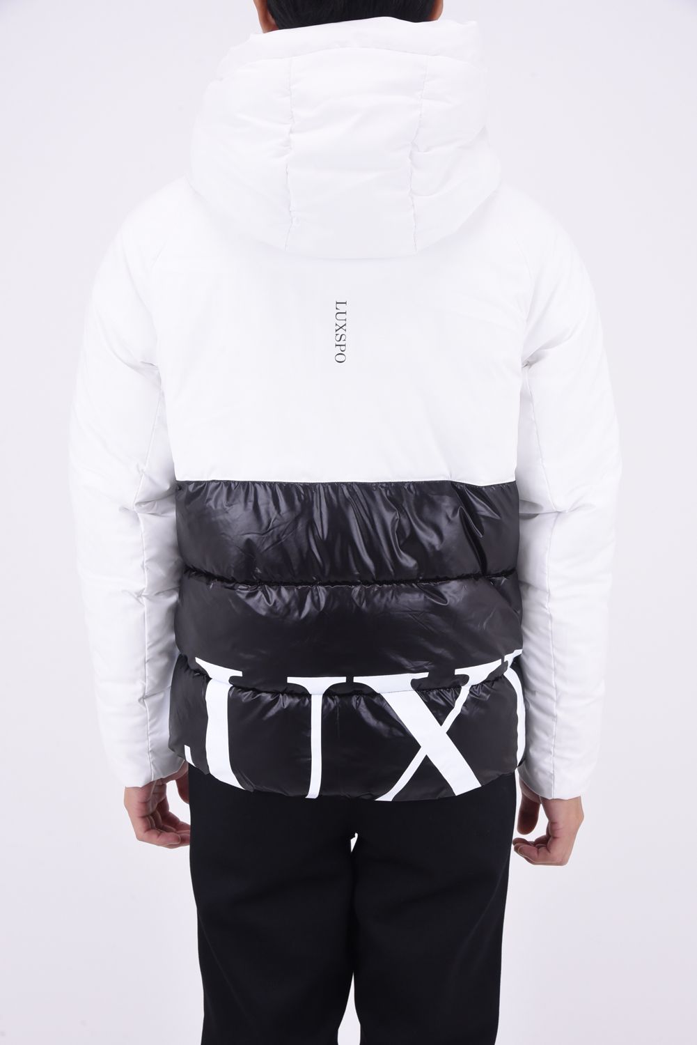 BICOLOR HOODY / バックロゴ バイカラー パデッドジャケット (ホワイト)