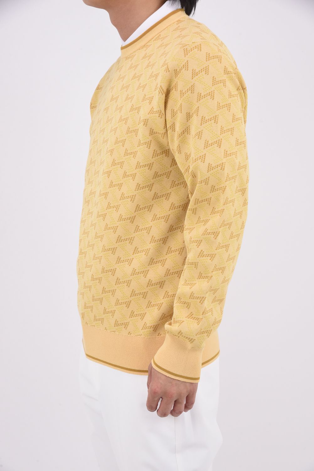 【25AW】 GM JACQUARD LIGHT KNIT / GMジャカード クルーネック ライトニット (ベージュ)*