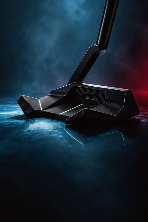 【期間限定・先行予約10%OFF】 WIDE WING / ワイドウイング マレット型パター (ブラック) (9月下旬入荷予定）