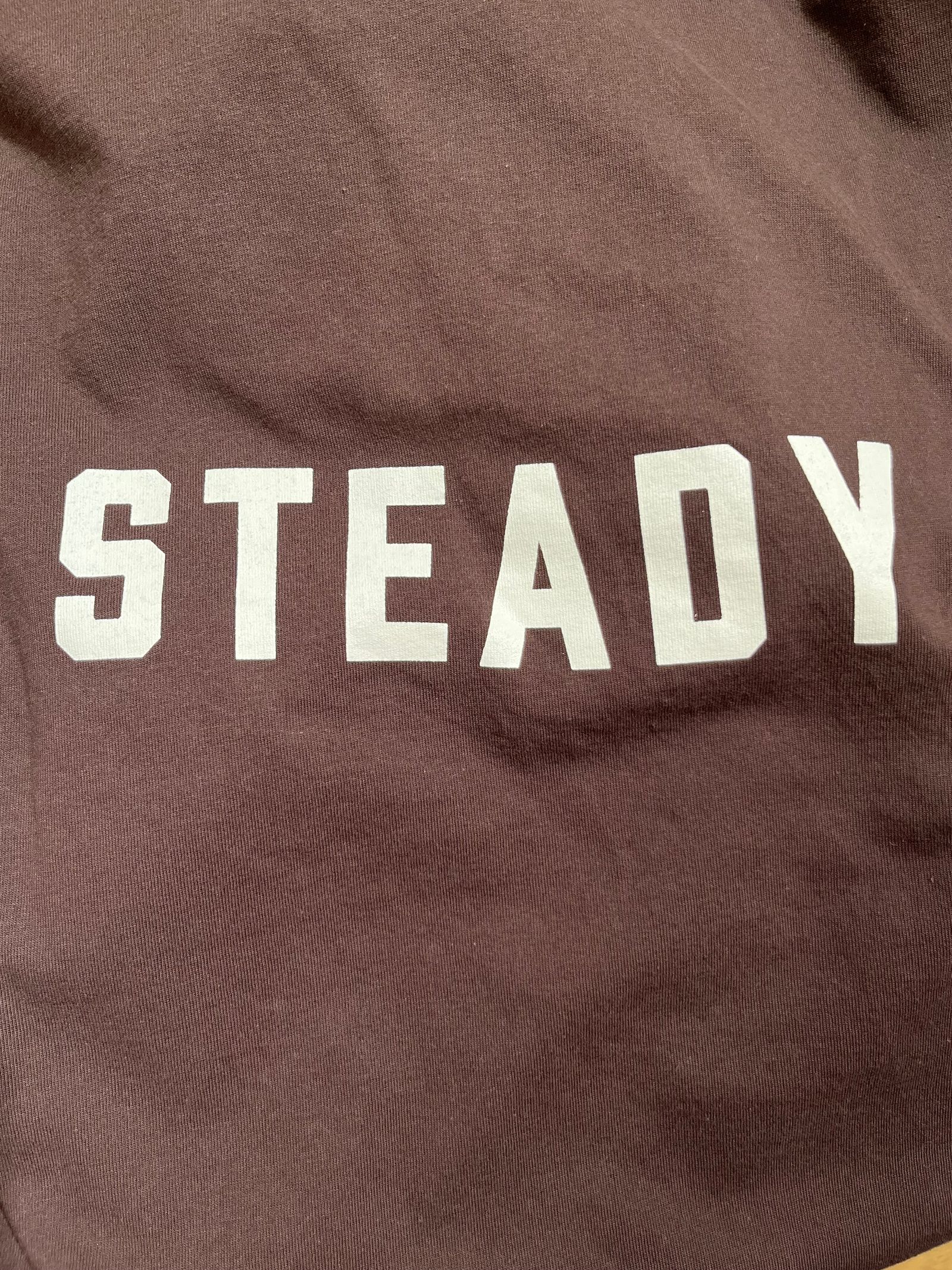 92 STEADY LONG TEE / プリントロンT / ブラウン