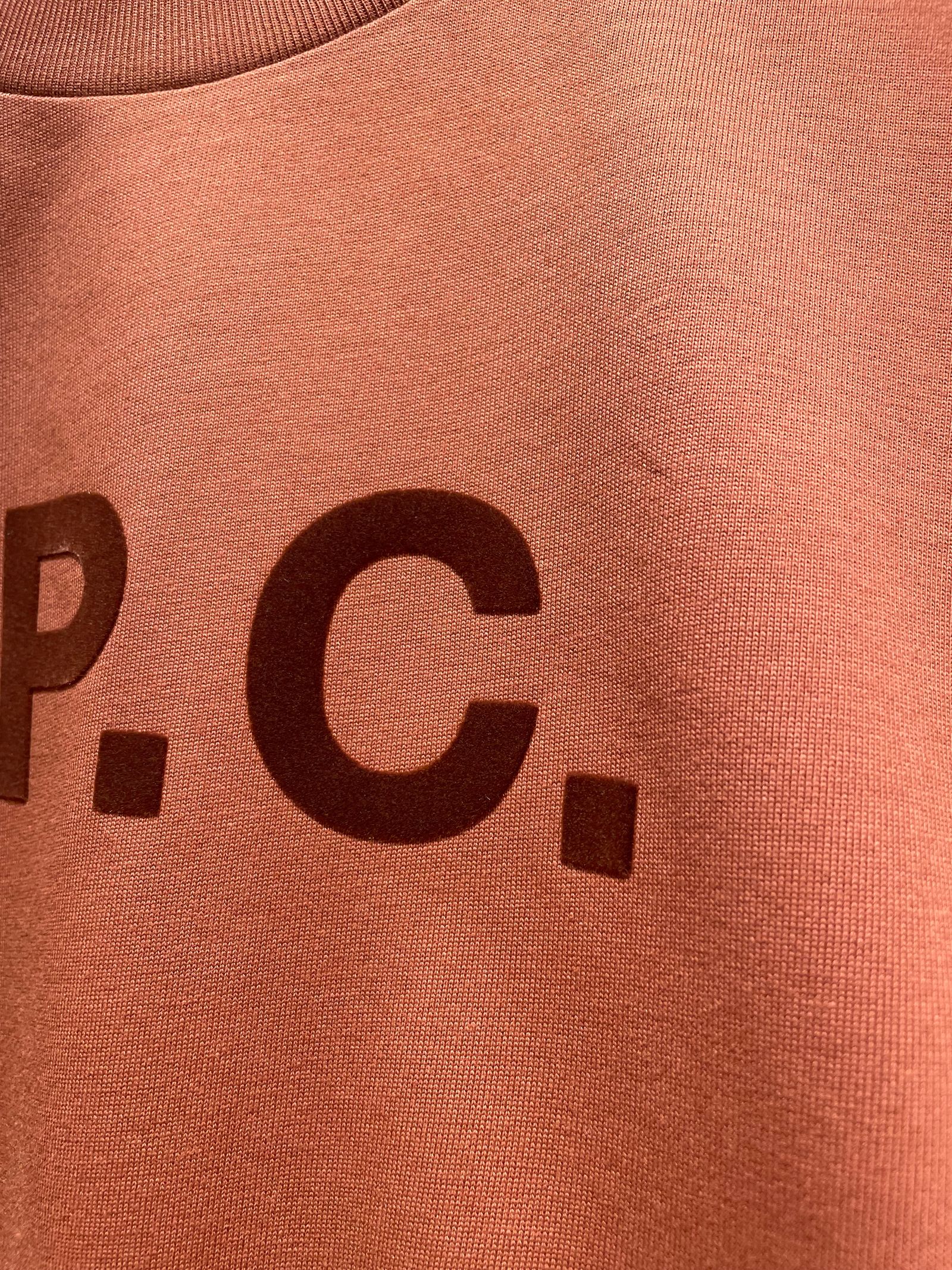 Standard Grand VPC Tシャツ / ロゴTシャツ / ブラウン