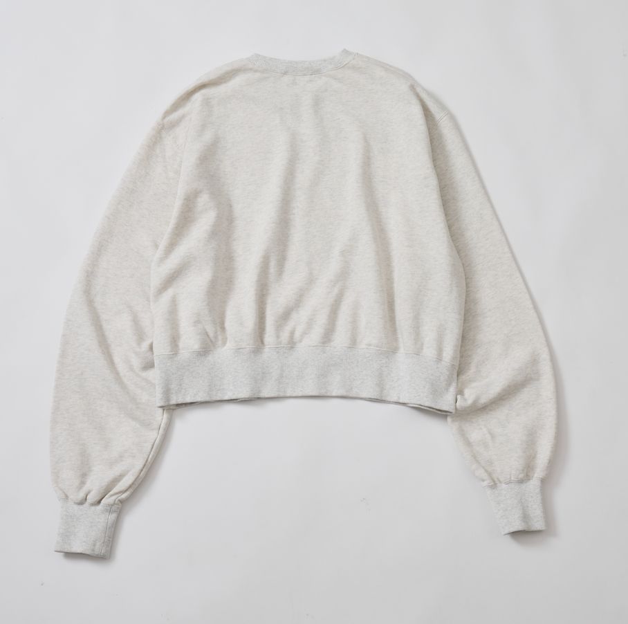 PENGUINES SWEAT / ペンギンプリントスウェット / グレー