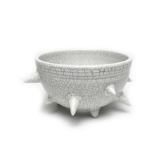 THORN STUDS POT(M)  "WHITE" -陶器鉢-