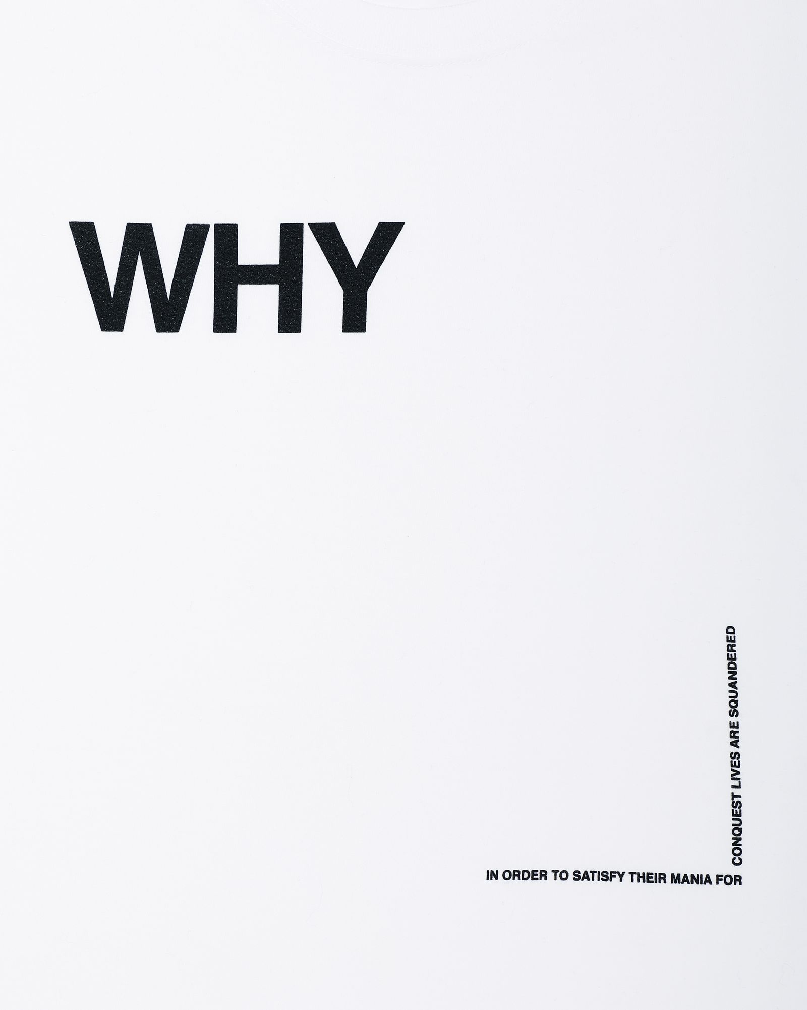 WHY SCREEN WIDE L-SLEEVE TEE  (WHITE)