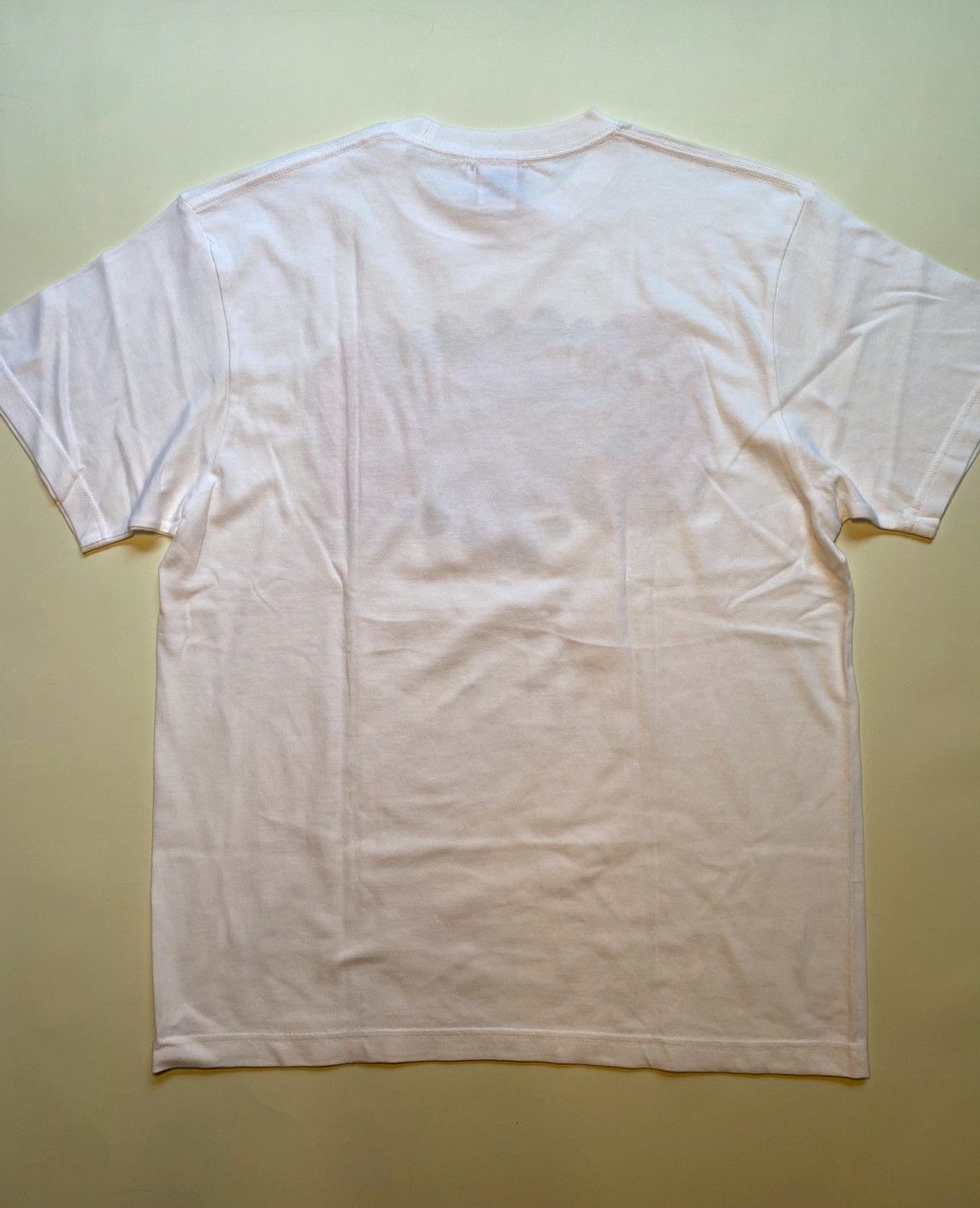 【一点もの】HALLUCINATION CLUB / Tシャツ 06 (Satoshi Ito)