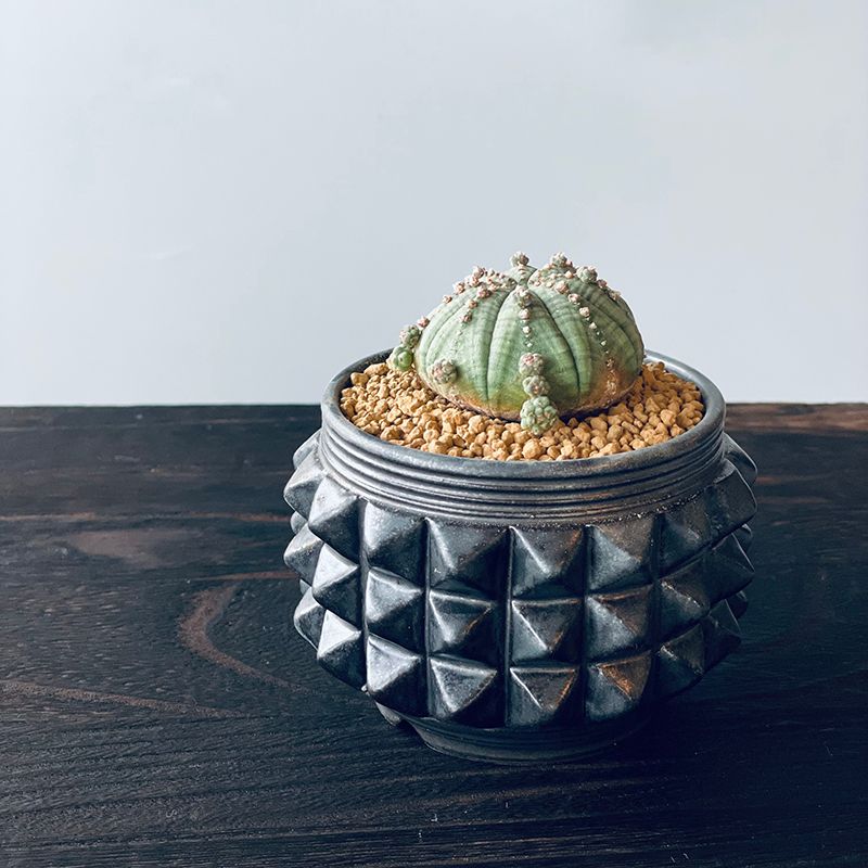 GARA - PYRAMID STUDS POT 