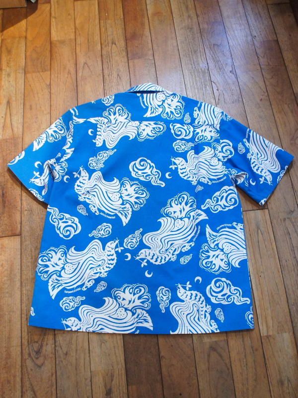 945-72TS110-1(BLUE)