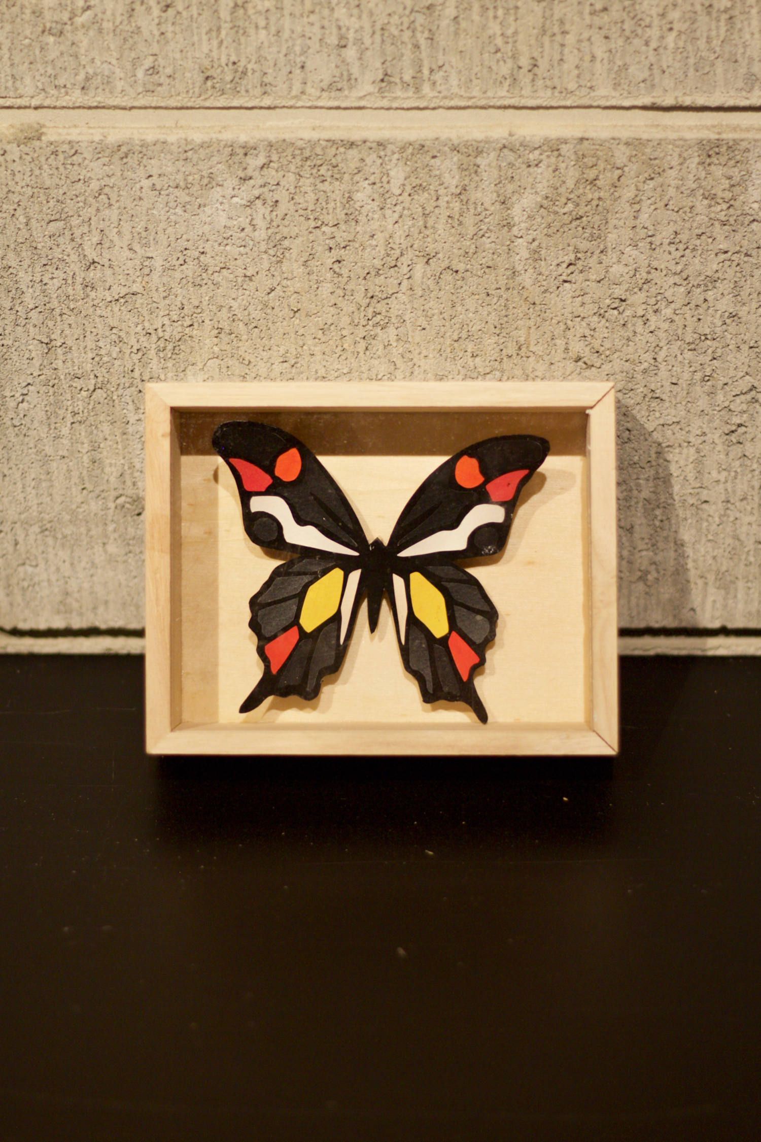 CRAZY Color BUTTERFLY  001