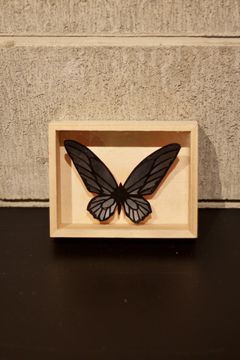 CRAZY Color BUTTERFLY  006  ※ALL BLACK