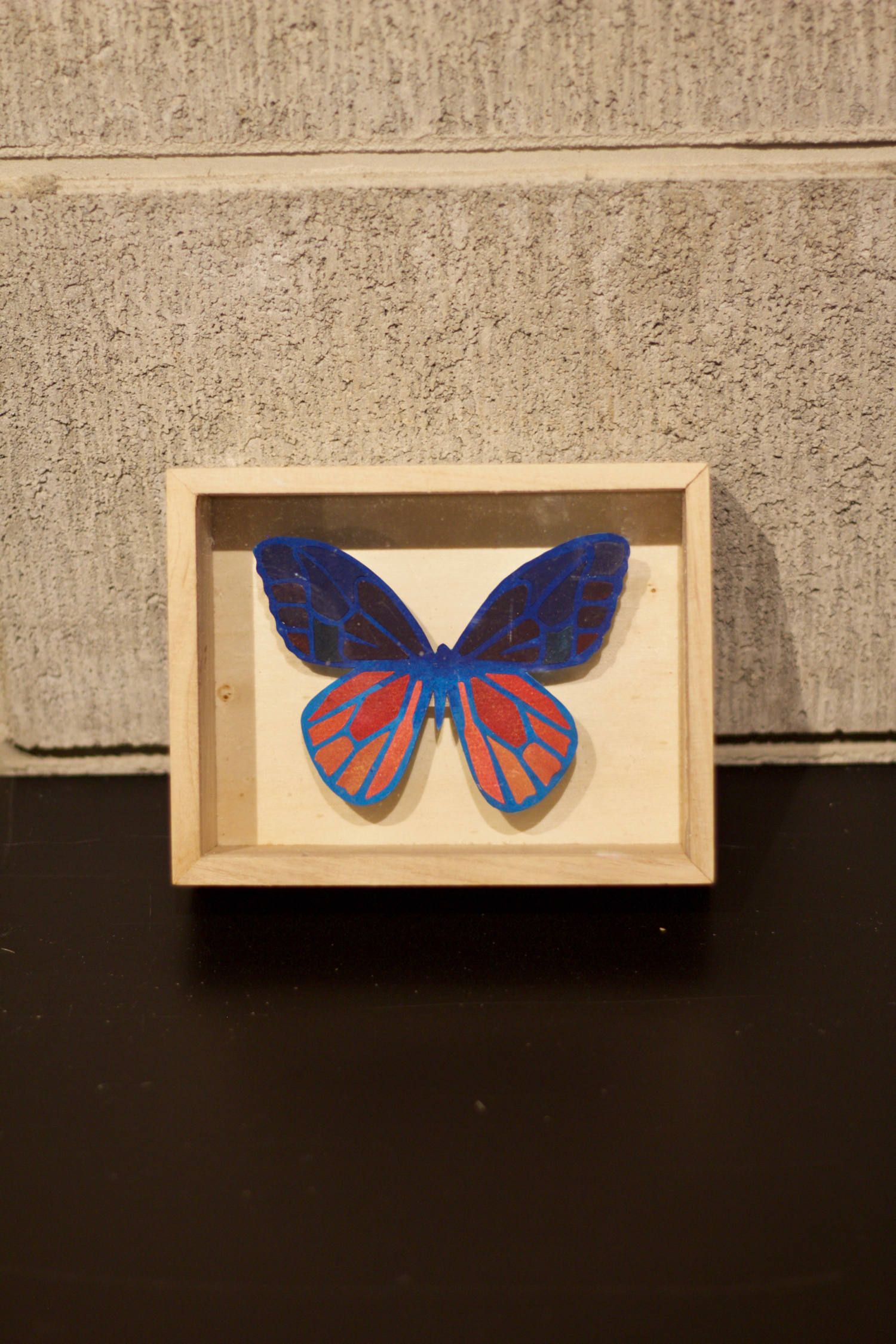 CRAZY Color BUTTERFLY  003
