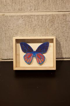 CRAZY Color BUTTERFLY  003