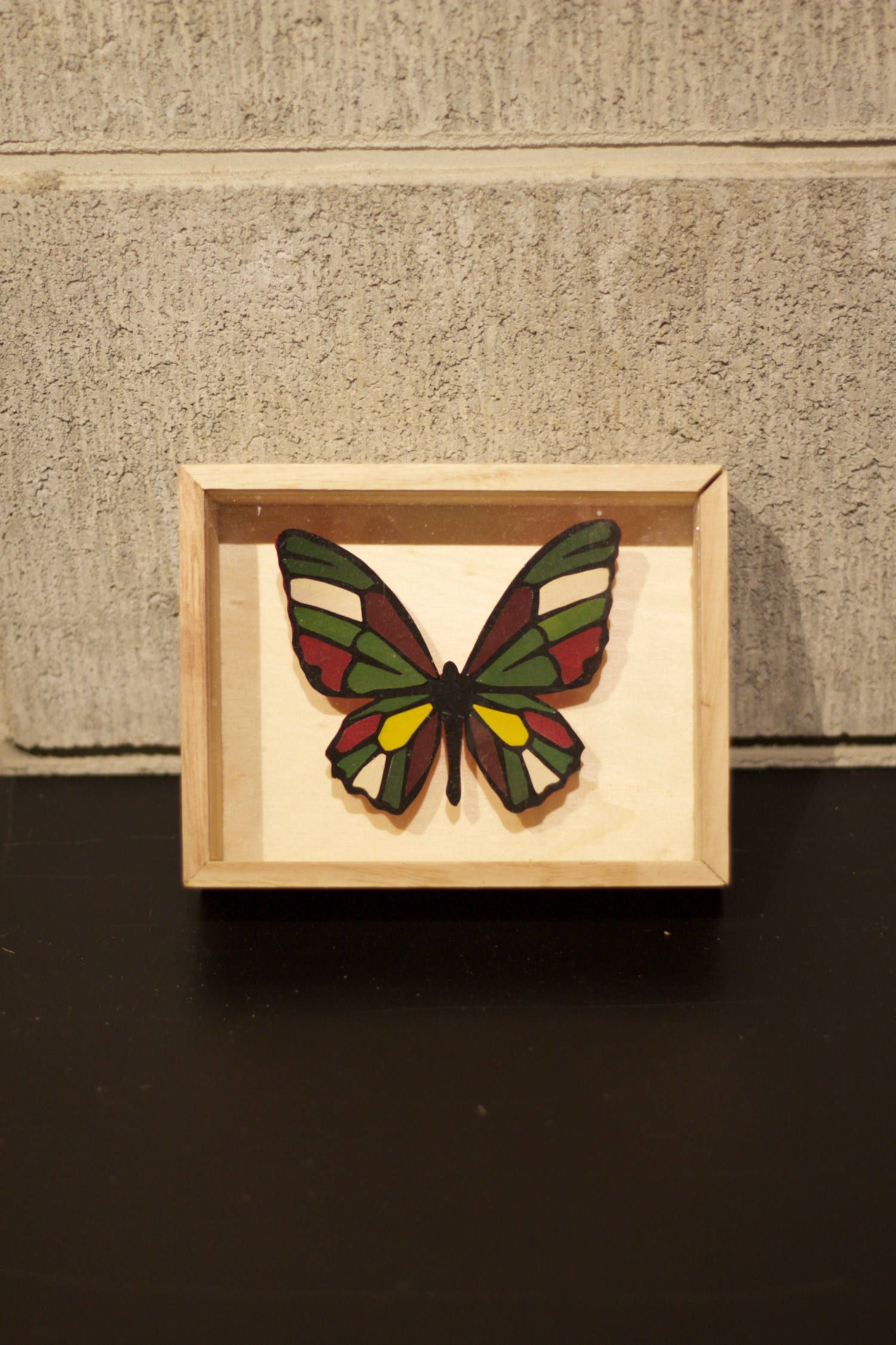 CRAZY Color BUTTERFLY  002