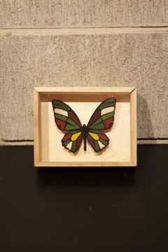 CRAZY Color BUTTERFLY  002