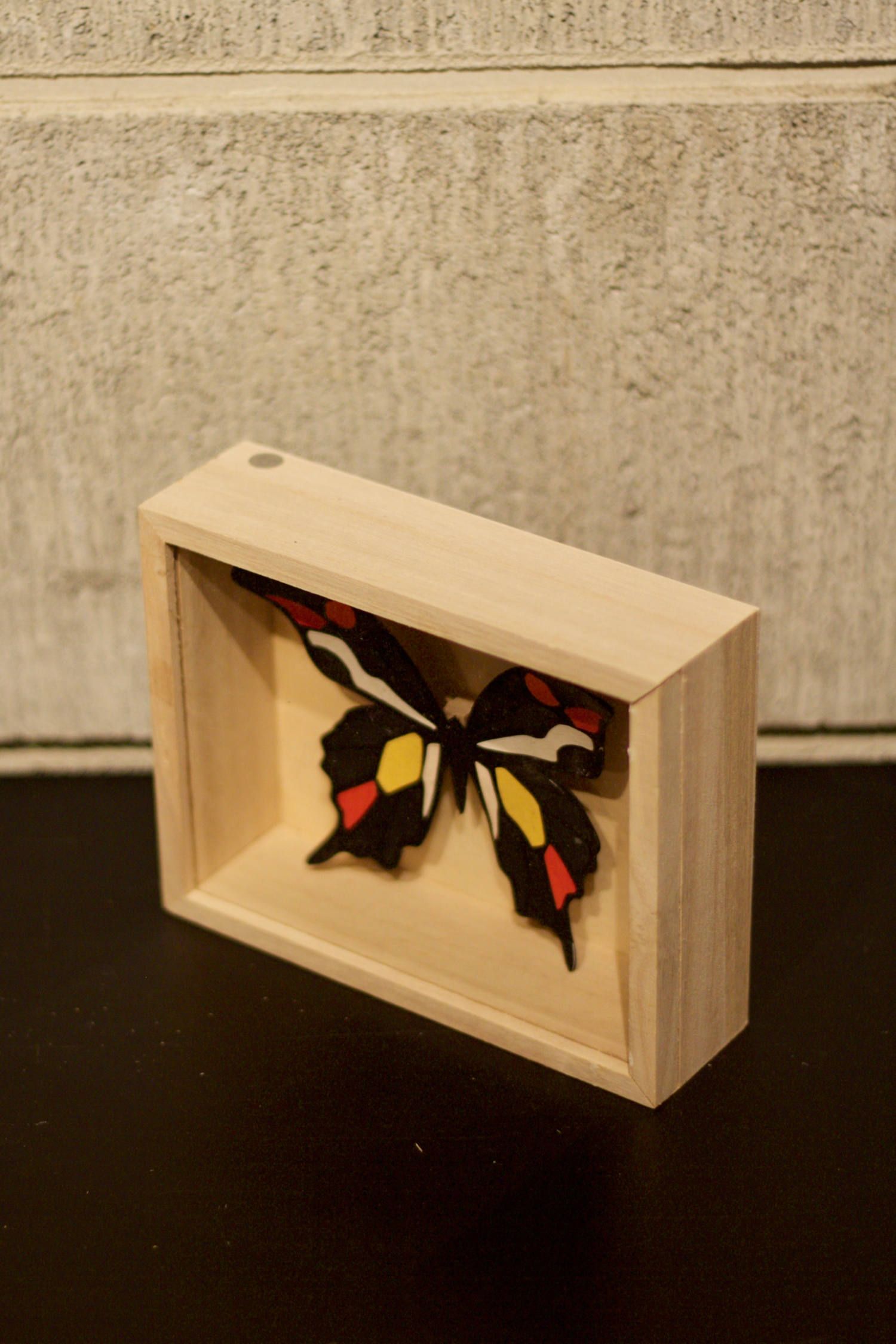CRAZY Color BUTTERFLY  001