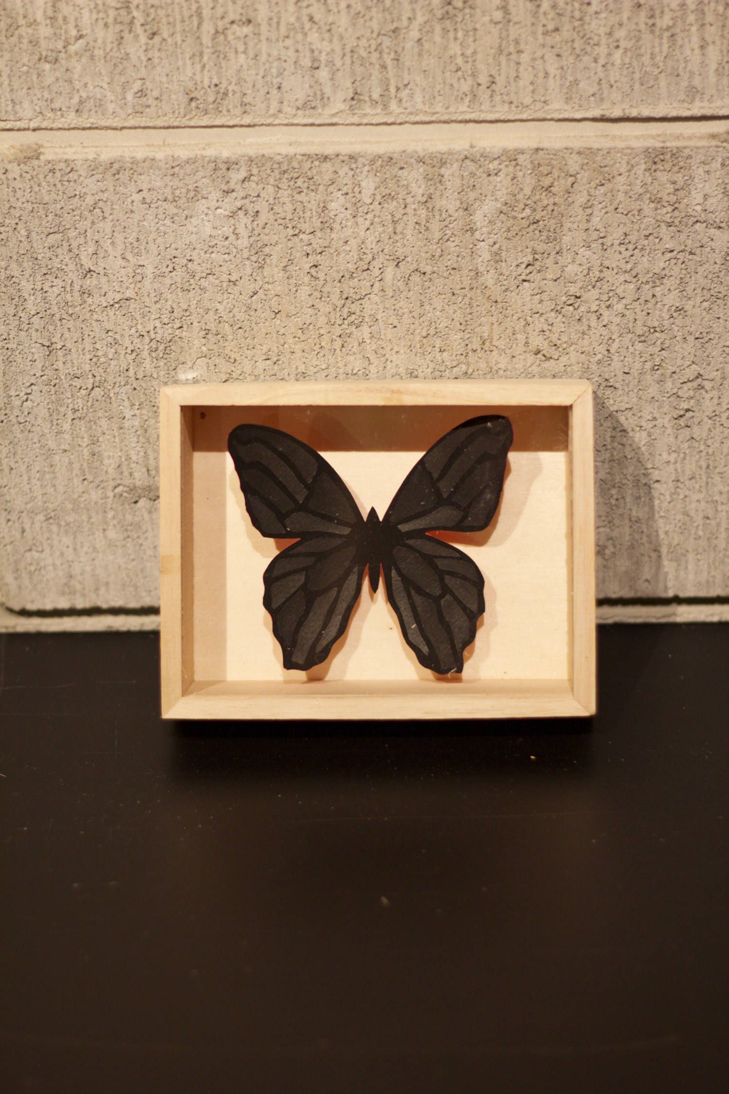 CRAZY Color BUTTERFLY  004  ※ALL BLACK