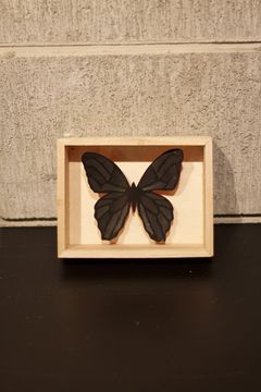 CRAZY Color BUTTERFLY  004  ※ALL BLACK
