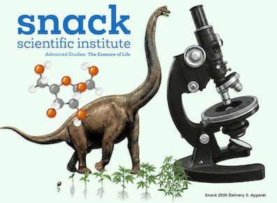SCIENTIFIC INSTITUTE DECK 8.125 / スケボー デッキ