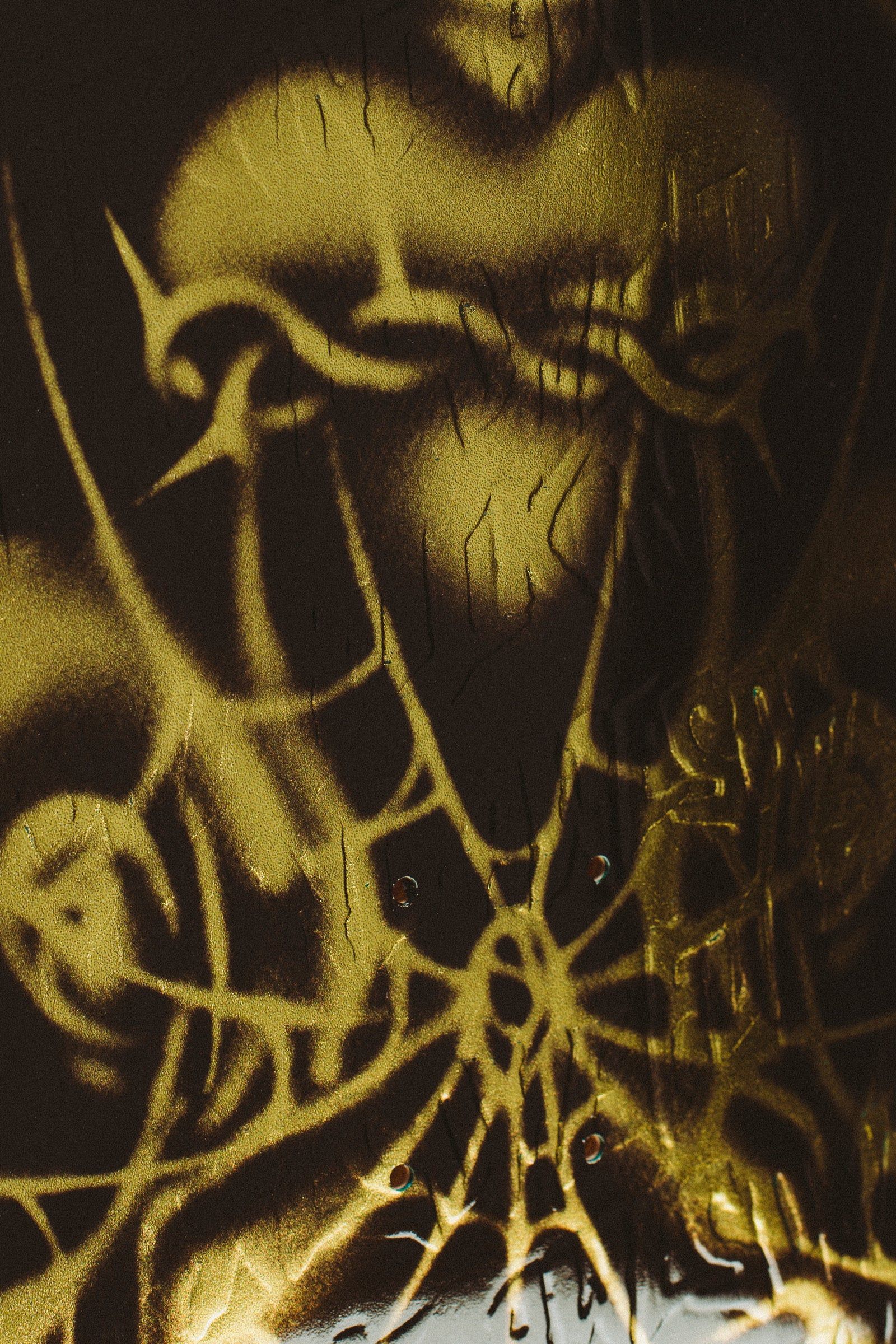 Curren Caples Genesis 8.25 / スケボーデッキ