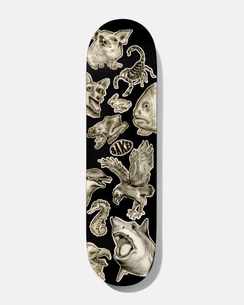 Rowan Nozzle Clog Deck 8.0 / スケボーデッキ