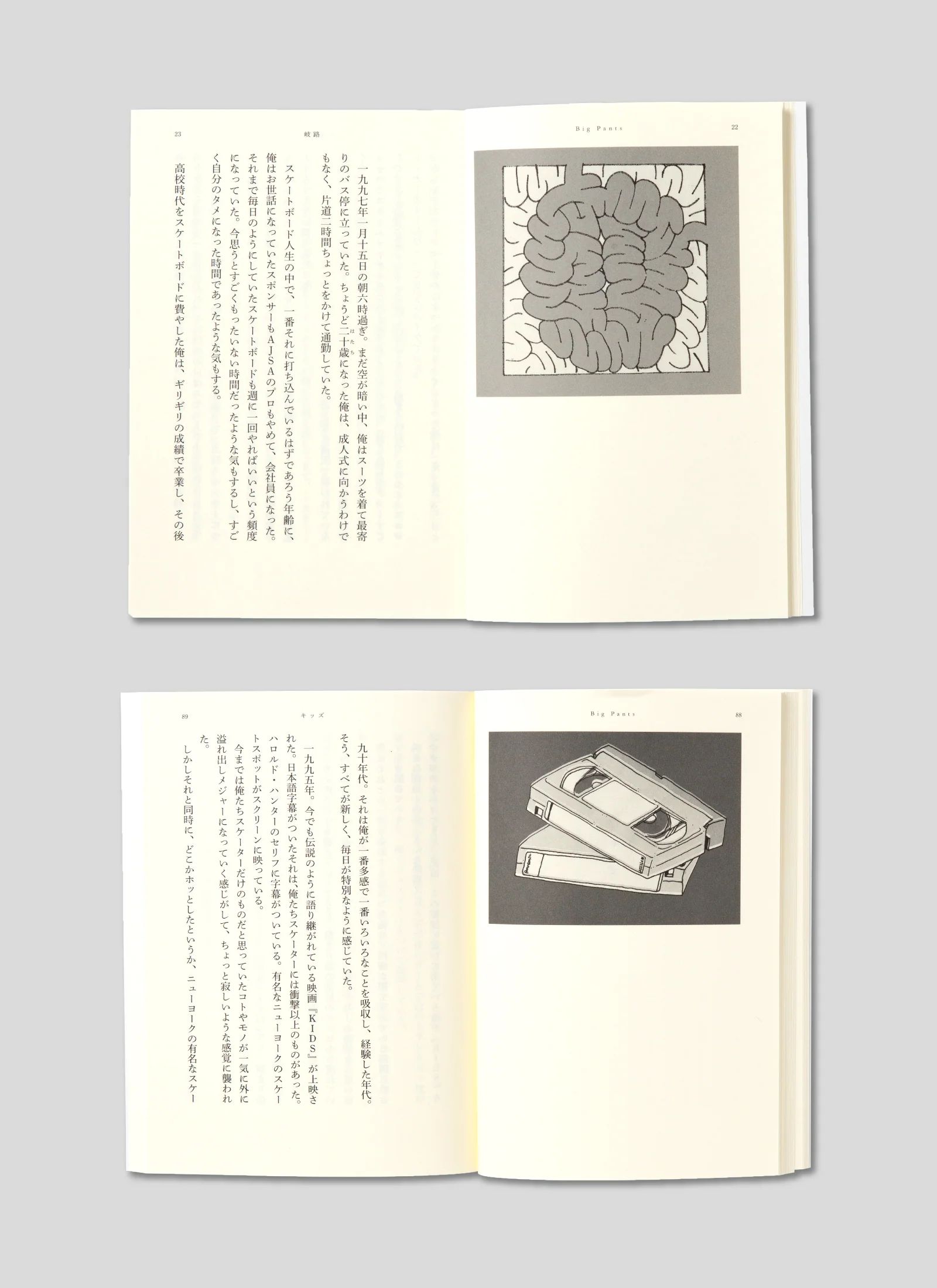 Big Pants スケートボード is 素敵 柳町 唯 / ブック 本 雑誌