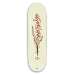 Pink Heath Reissuea Callum 8.25