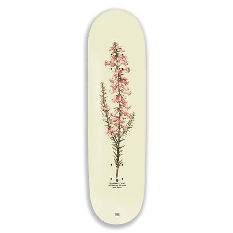 Pink Heath Reissuea Callum 8.25