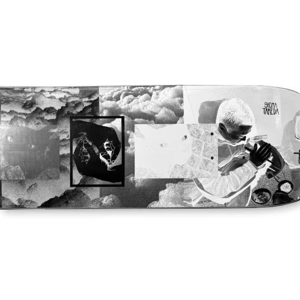 SHOMA- ascension 8.0 8.25 / スケボーデッキ
