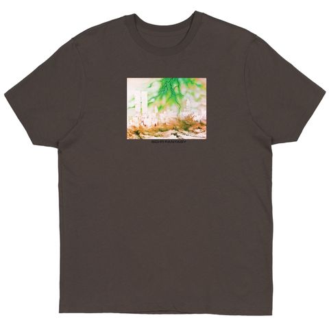 APOCALYPSE TEE - DARK CHOCOLATE / Tシャツ