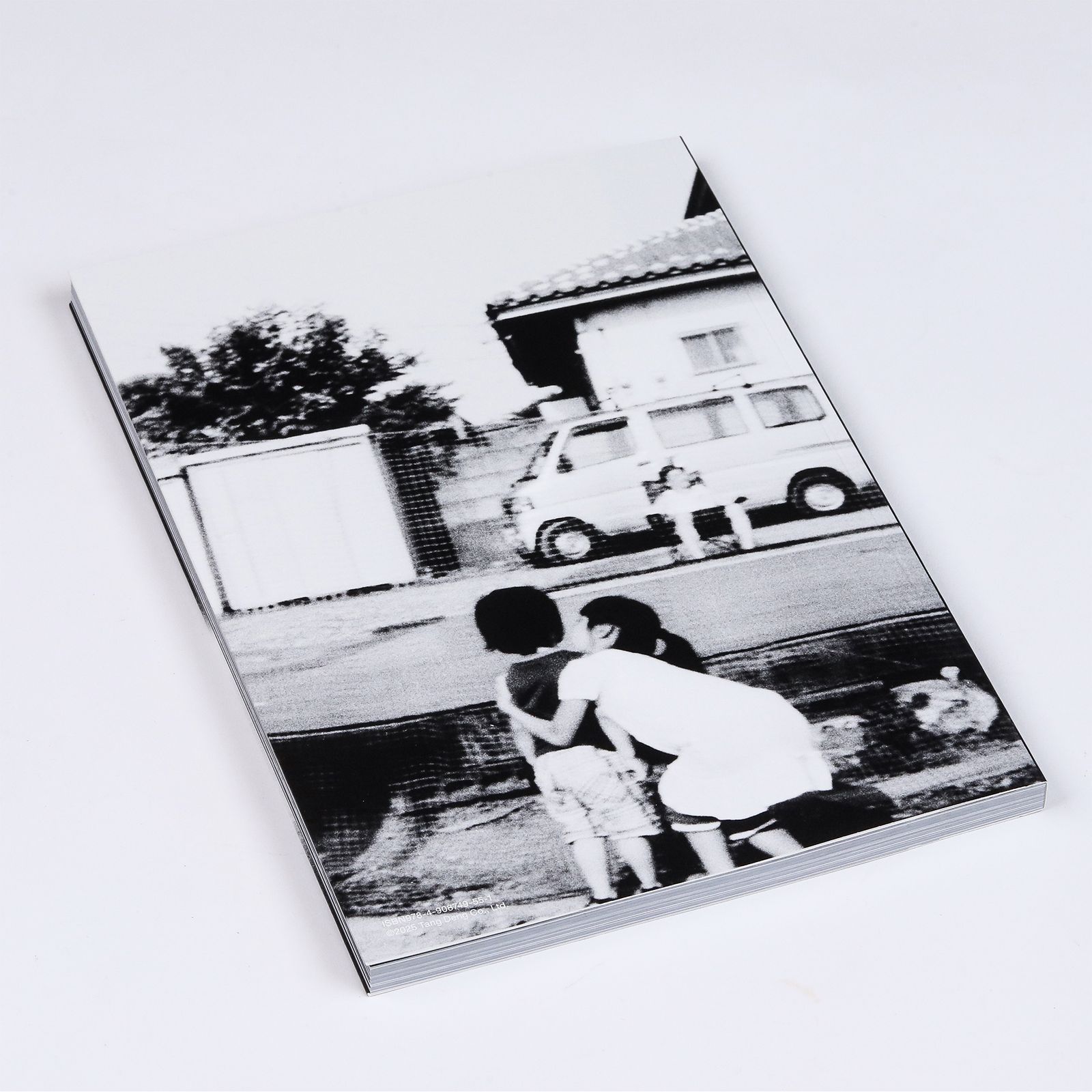 LOST and HOLD - Diskah / ソフトカバー 本