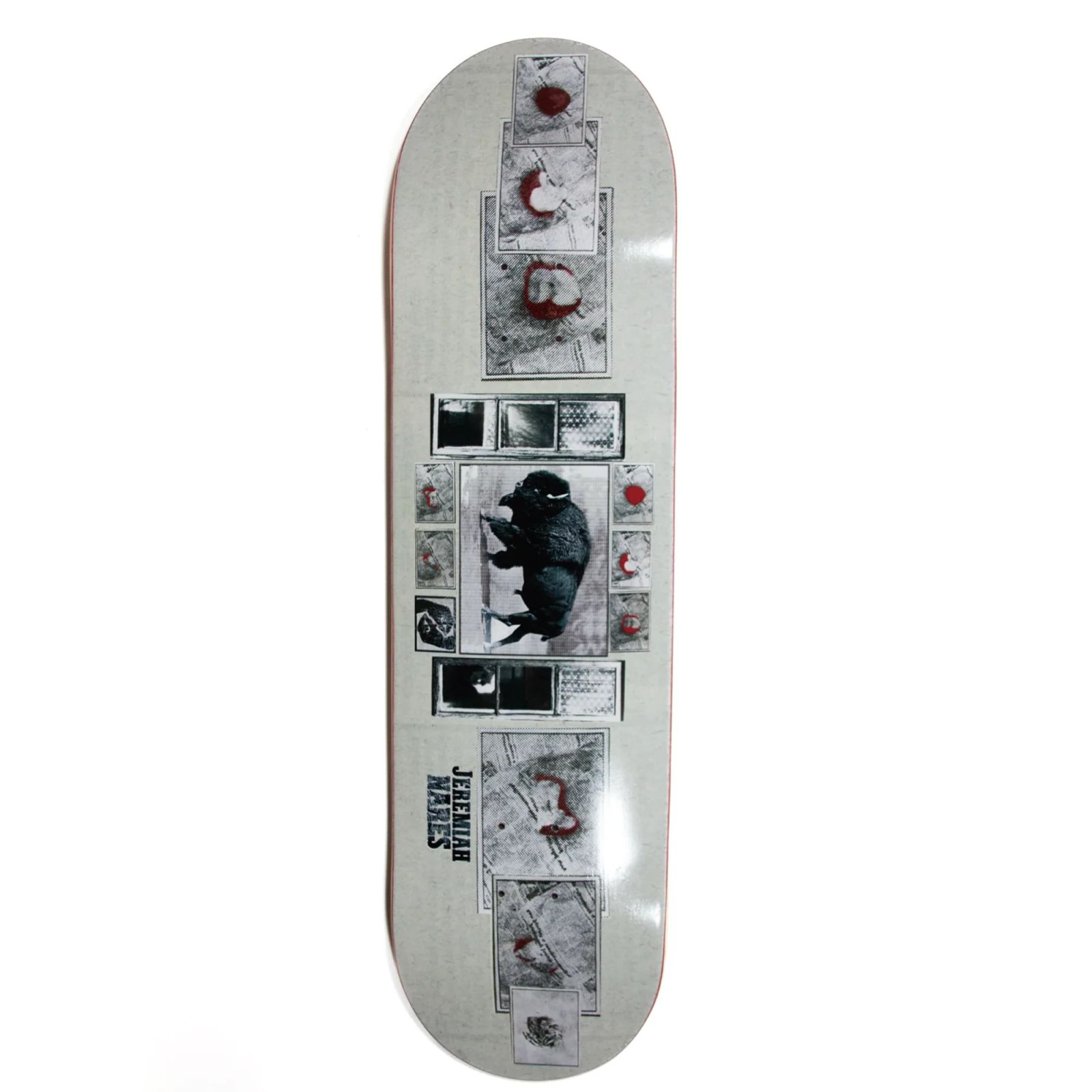 SPRINKLES SF (スプリンクル) | 正規通販 HEAL SKATESHOP