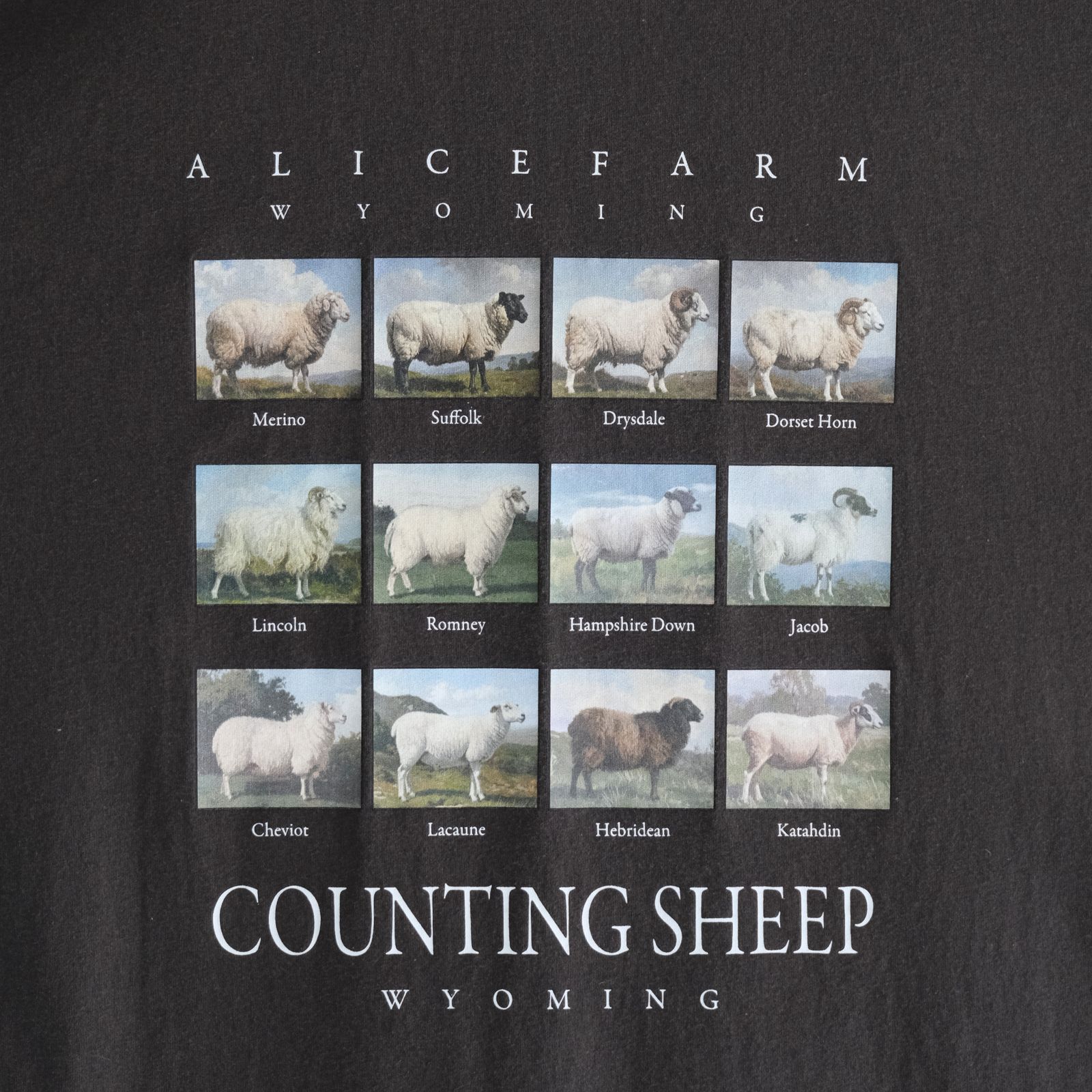"TEE-NS".11 Counting sheep Tee / "TEE-NS".11 カウンティング シープ Tシャツ（BLACK）