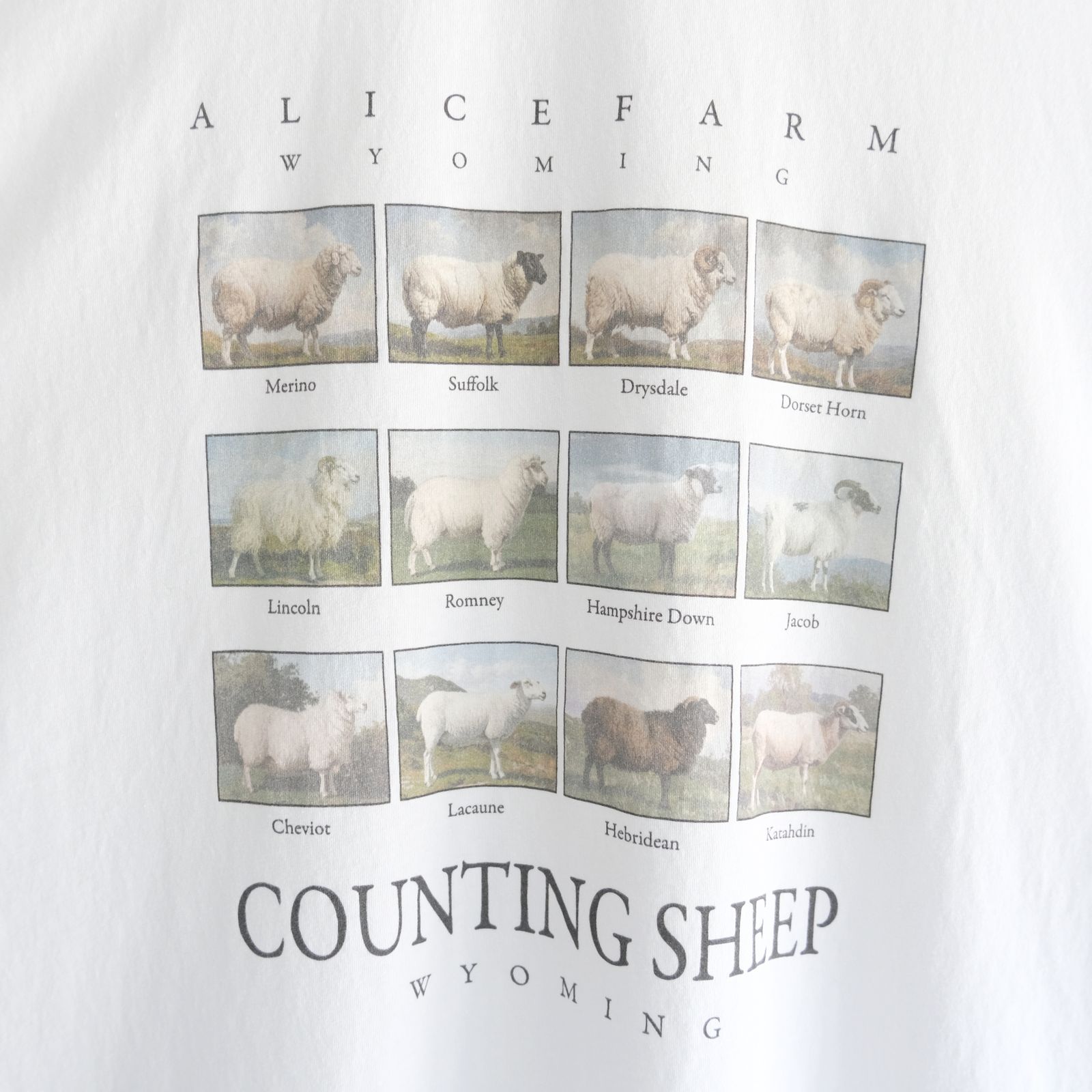 "TEE-NS".11 Counting sheep Tee / "TEE-NS".11 カウンティング シープ Tシャツ（WHITE）
