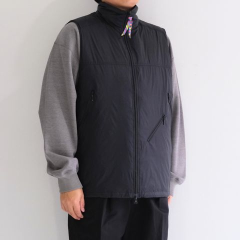 LIGHT DOWN VEST is-ness × TAION / ベスト / ダウンベスト / コラボ / BLACK