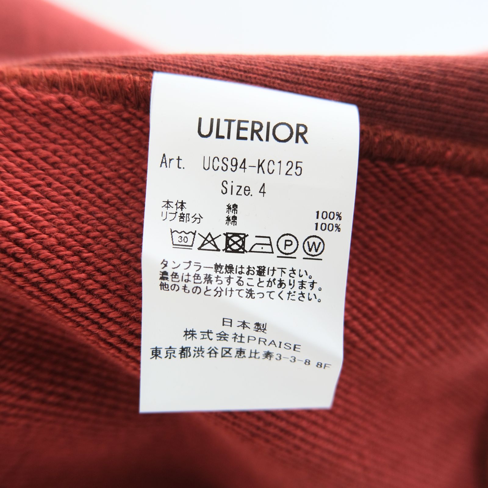FADED SILKY TERRY RW SWEAT SHIRT / スウェット / REDWOOD