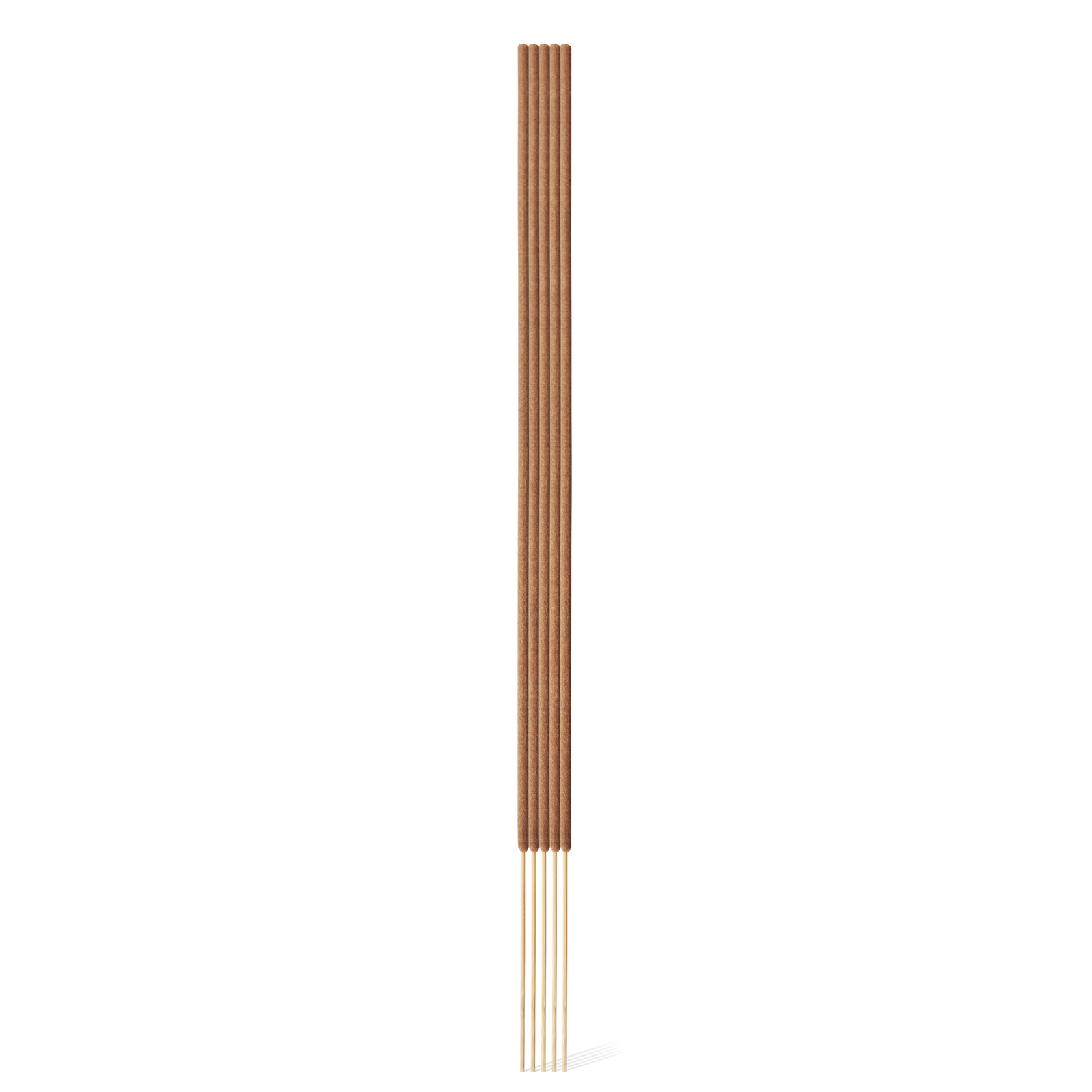 INCENSE STICKS【 Oakmoss & Amber 】/ お香 (スティック型)
