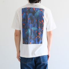 STYLE NO. 494