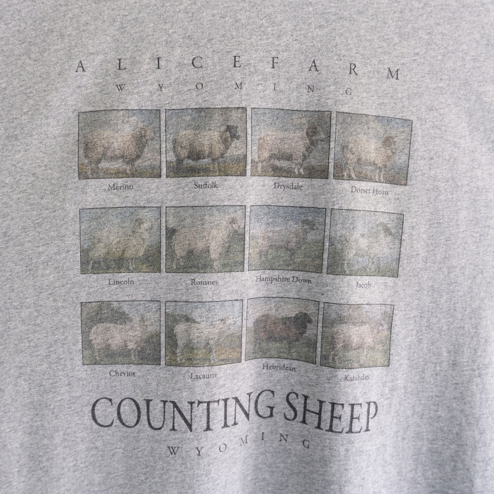 "TEE-NS".11 Counting sheep Tee / "TEE-NS".11 カウンティング シープ Tシャツ（HEATHER GRAY）