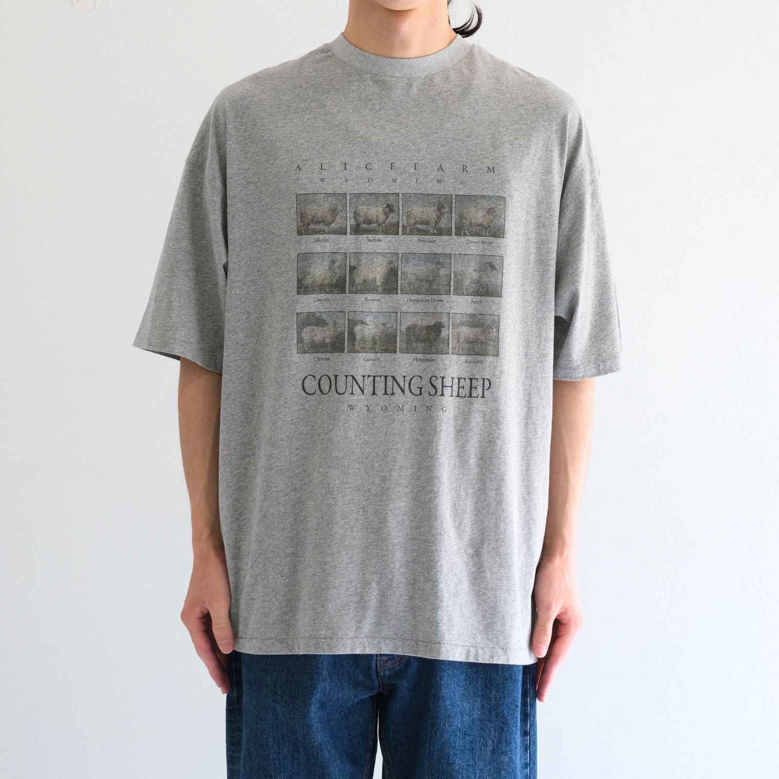 "TEE-NS".11 Counting sheep Tee / "TEE-NS".11 カウンティング シープ Tシャツ（HEATHER GRAY）
