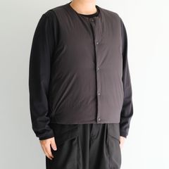 Layer Down Vest / ベスト / ダウンベスト / ダックダウン / Graphite