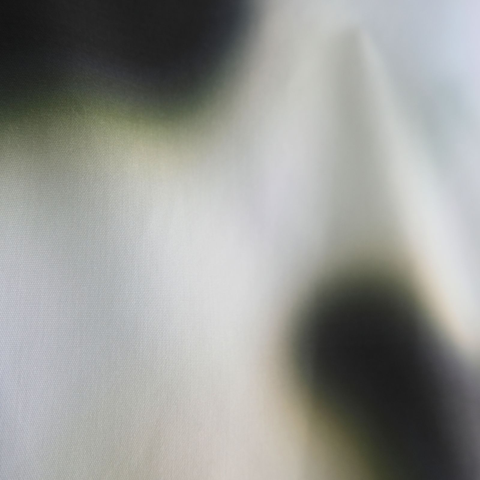 BANDANA（BLUR）