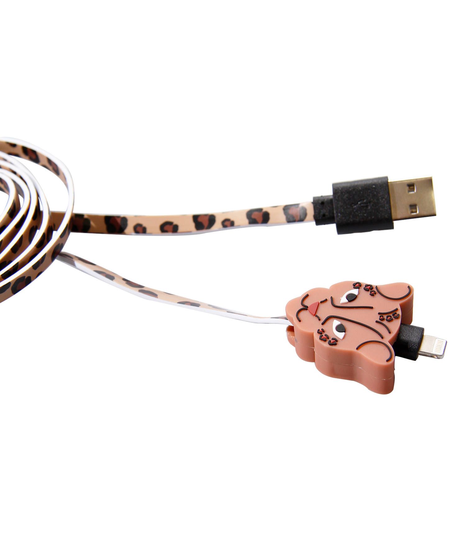 Charging Cable for Apple iPhone - Leo