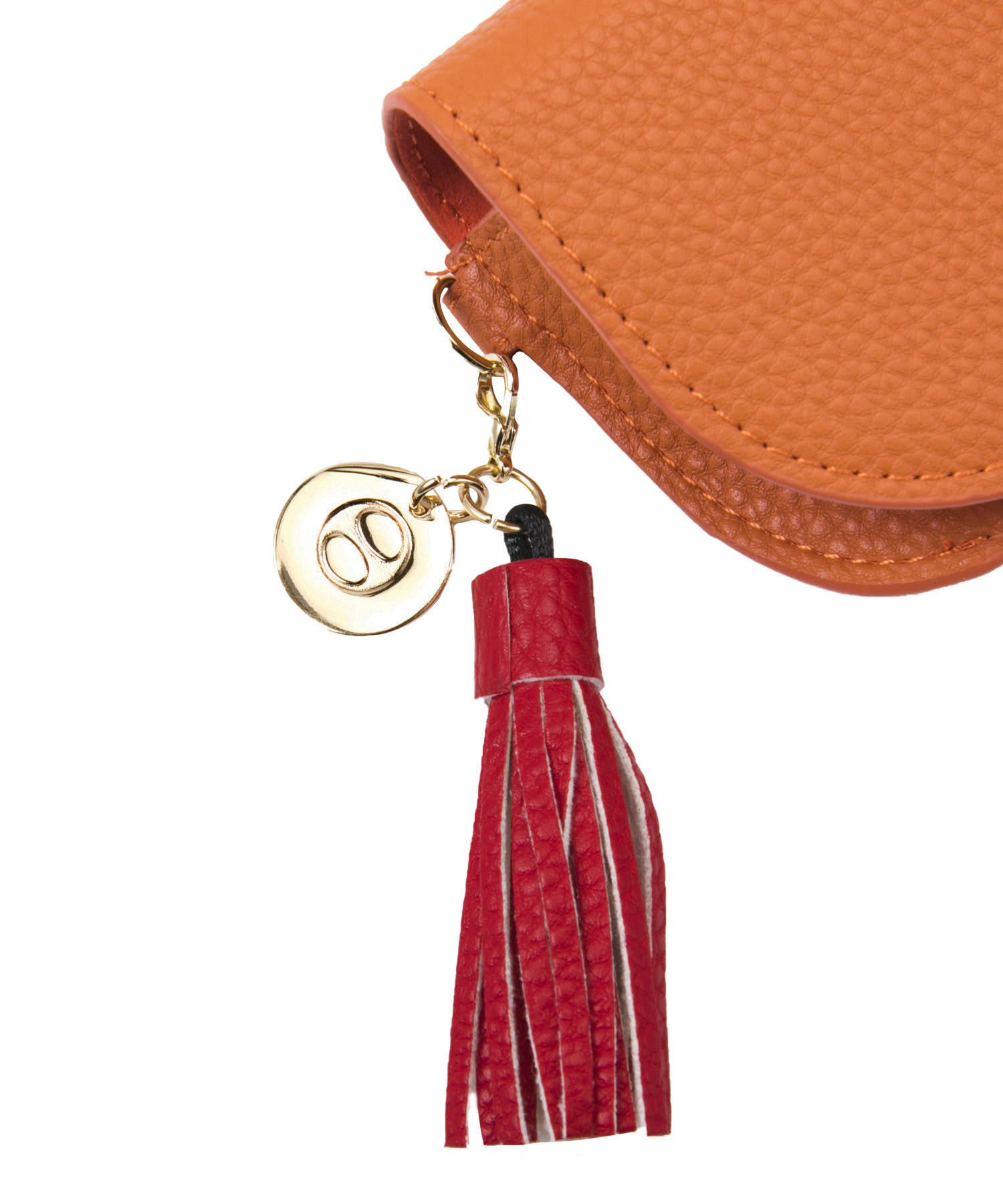 Glasses Case with Bag Holder - Orange